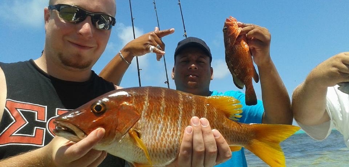 Half Day Reef Fishing