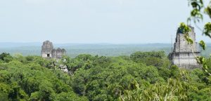Tikal Day Tour